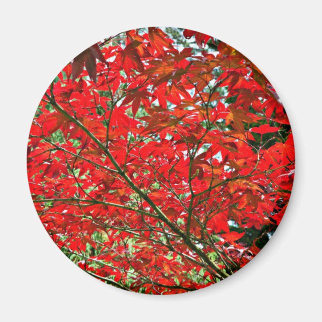 Red löv magnet (Framsidan)
