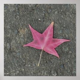 Red Löv Photo Poster