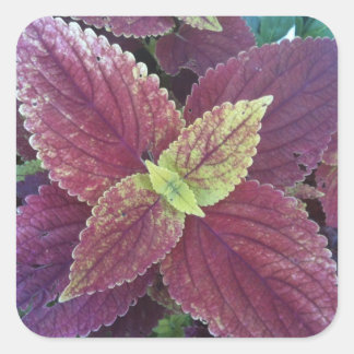 Red Löv Plant Large Square Stickers Fyrkantigt Klistermärke