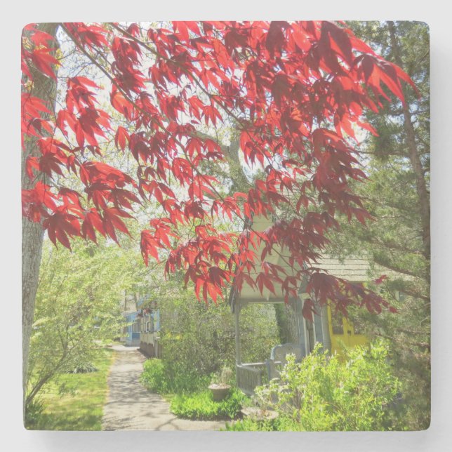 Red Lövs and Walkway - Martha's Vineyard Stenunderlägg (Framsidan)