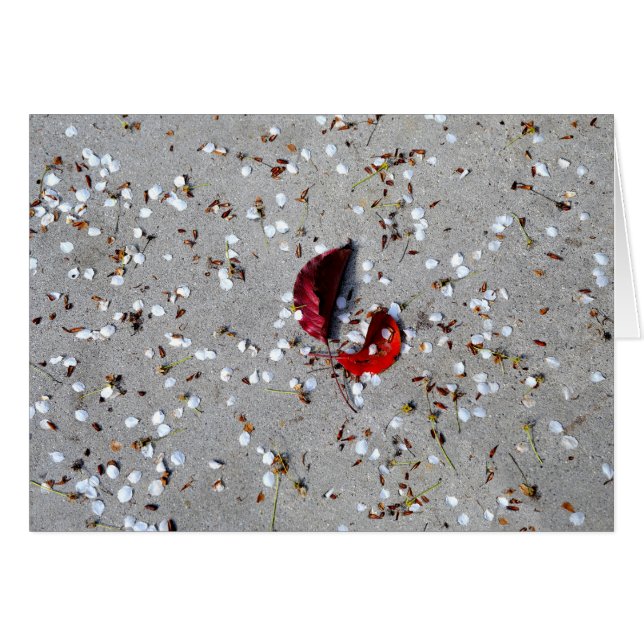 Red Lövs White Petals Hälsningskort (Framsidan Horizontal)