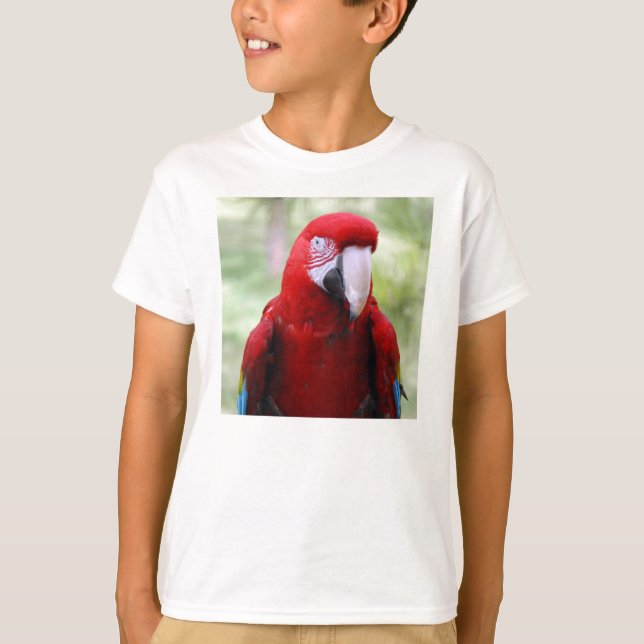 red-macaw10x10 tee shirt (Framsida)