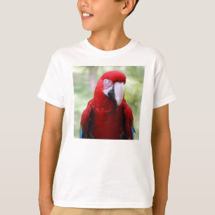 red-macaw10x10 tröja