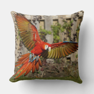 Red Macaw Flies Dekorativ kudde