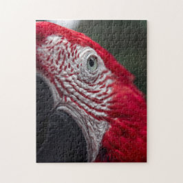Red Macaw - HD Photo Puzzle Pussel