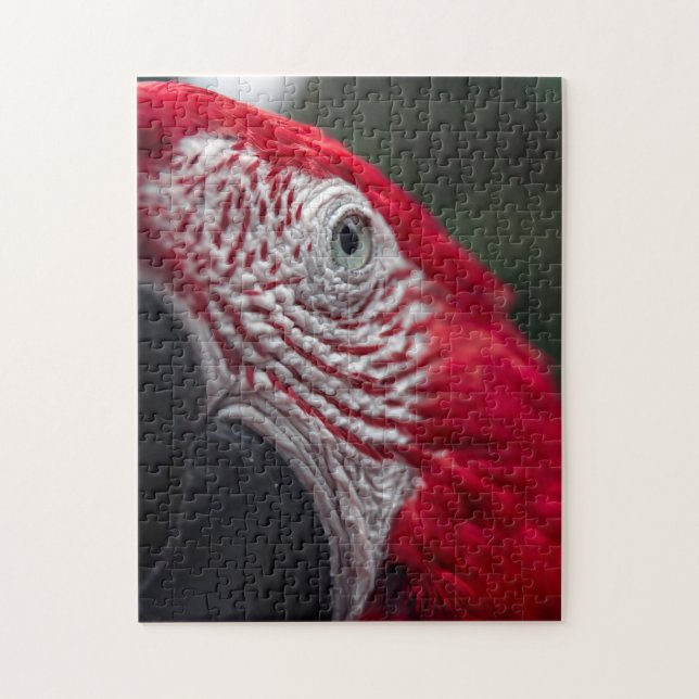 Red Macaw - HD Photo Puzzle Pussel (Vertikal)