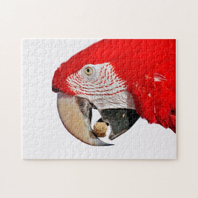 Red Macaw Parrot med Peanut Pussel (Horisontell)