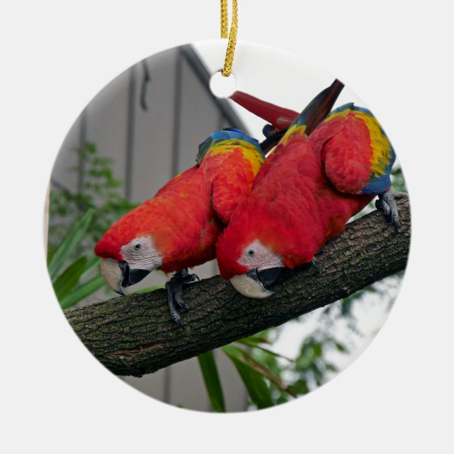 Red Macaws 2.JPG Julgransprydnad Keramik (Framsidan)