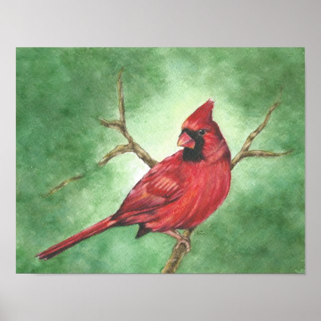 Red Male Cardinal i Träd Poster (Framsidan)