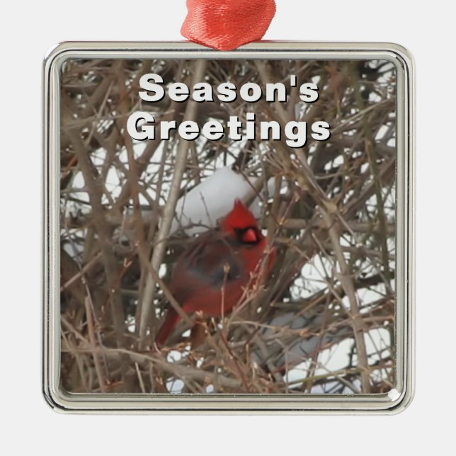 Red Male Cardinal in Winter Ornament (Framsidan)