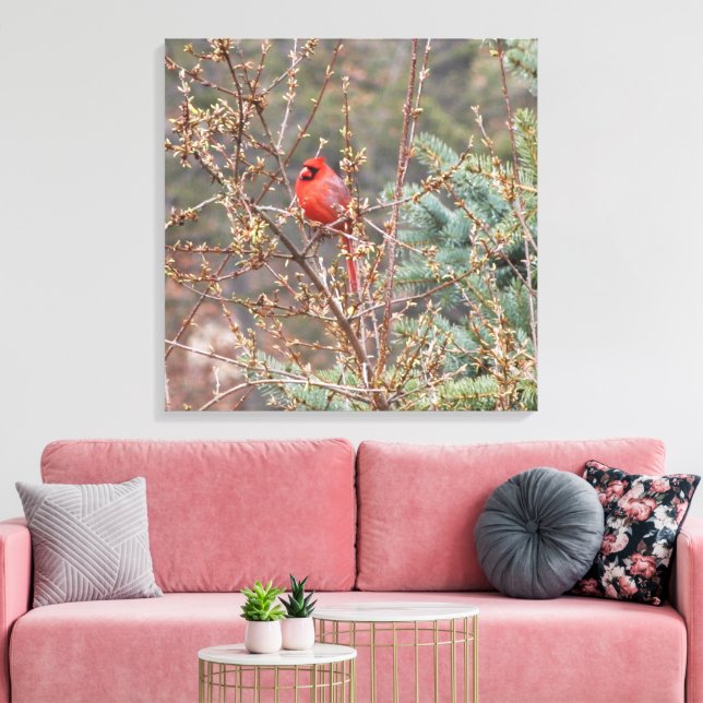 Red Male Cardinal Perched on Hedges Canvas (Insitu (Vardagsrum))