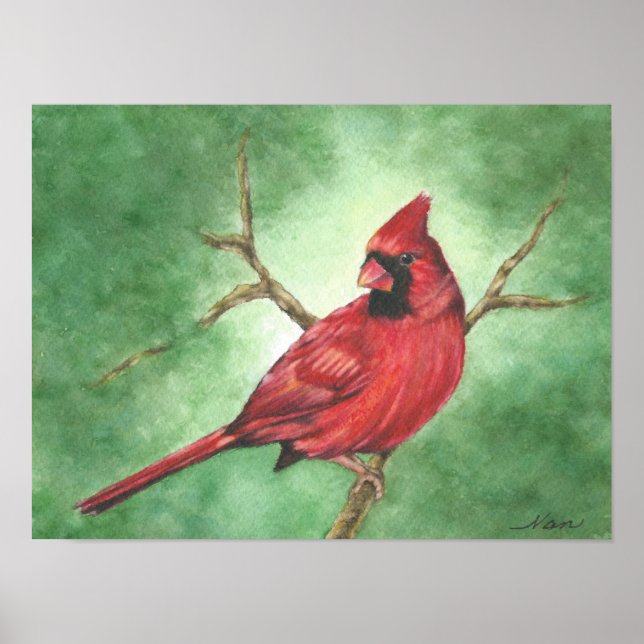 Red Male Cardinal Poster (Framsidan)