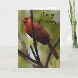 Red Male Northern Kardinal sitta vid Gren Kort