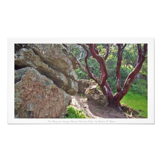 "Red Manzanita Bland Massive Red Hued Sten," Fototryck (Framsidan)