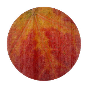 Red Maple Abstrakt Löv - höstfoto
