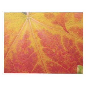 Red Maple Abstrakt Löv - höstfoto Anteckningsblock