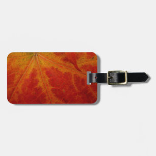 Red Maple Abstrakt Löv - höstfoto Bagagebricka