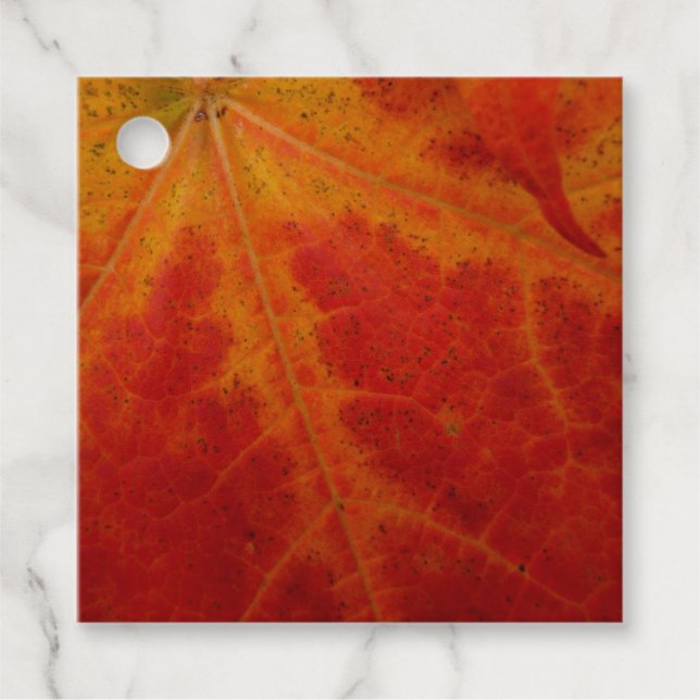 Red Maple Abstrakt Löv - höstfoto Gåvor Etiketter (Framsida)