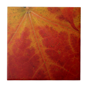 Red Maple Abstrakt Löv - höstfoto Kakelplatta