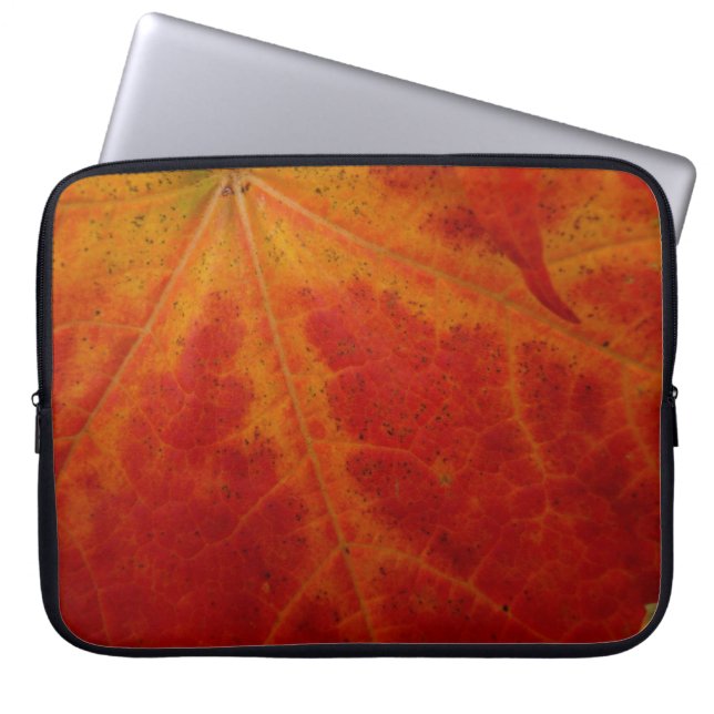 Red Maple Abstrakt Löv - höstfoto Laptop Sleeve (Framsidan)