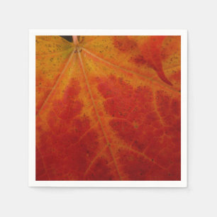 Red Maple Abstrakt Löv - höstfoto Pappersservett