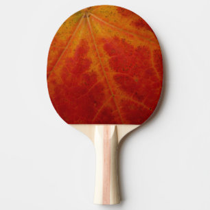 Red Maple Abstrakt Löv - höstfoto Pingisracket
