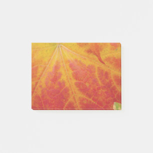 Red Maple Abstrakt Löv - höstfoto Post-it Block