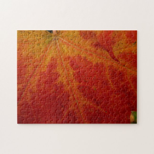 Red Maple Abstrakt Löv - höstfoto Pussel (Horisontell)