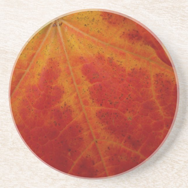 Red Maple Abstrakt Löv - höstfoto Underlägg Sandsten (Framsidan)