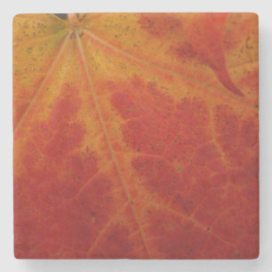 Red Maple Abstrakt Löv - höstfoto Underlägg Sten