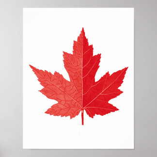 Red Maple löv Canada Day art print no.11 Poster