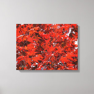 Red Maple Löv Canvastryck