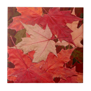 Red Maple Löv Kakelplatta