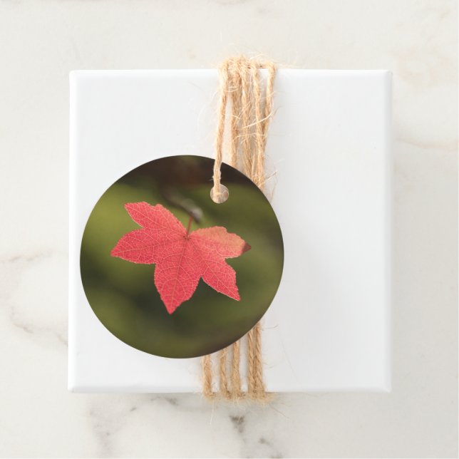 Red Maple Löv Nature Photo Gåvor Etiketter (På plats)