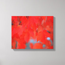 Red Maple-Löv på hösten Canvastryck