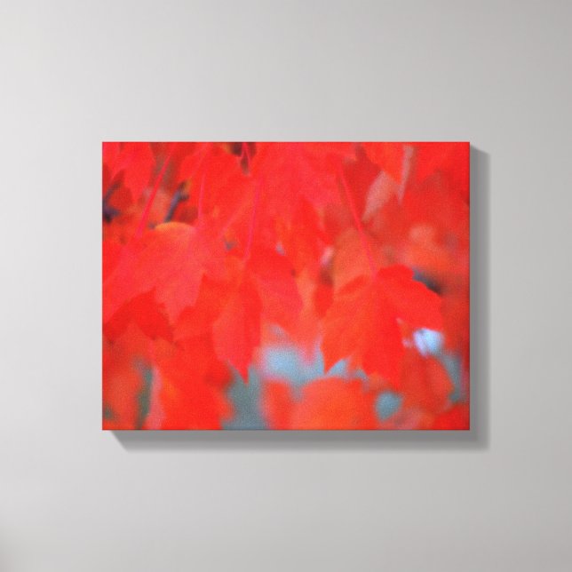 Red Maple-Löv på hösten Canvastryck (Framsida)