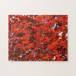 Red Maple Löv Pussel