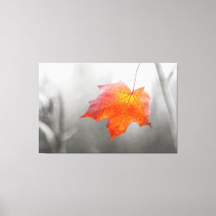 Red Maple Löv - Velvet Autumn Canvastryck