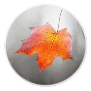 Red Maple Löv - Velvet Autumn Knopp