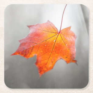 Red Maple Löv - Velvet Autumn Underlägg Papper Kvadrat
