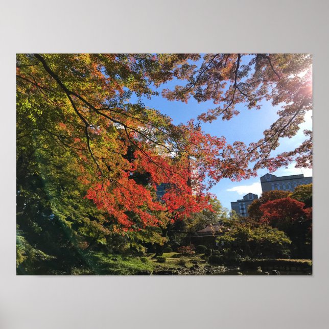 Red Maples på japanska Garden Poster (Framsidan)