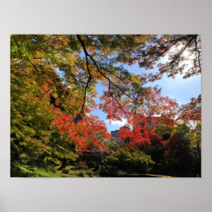 Red Maples på japanska Garden Poster