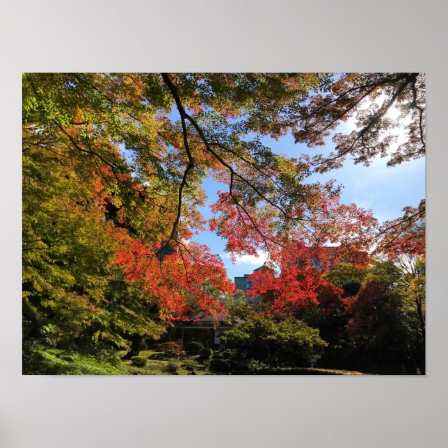 Red Maples på japanska Garden Poster (Framsidan)