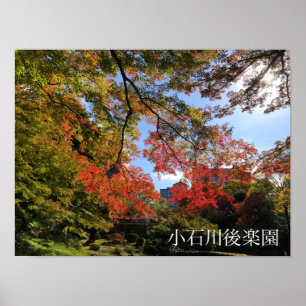 Red Maples på japanska Garden Poster