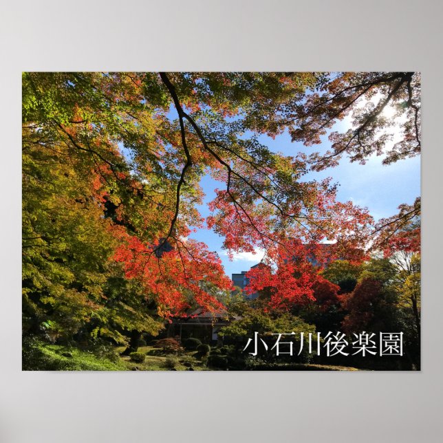 Red Maples på japanska Garden Poster (Framsidan)