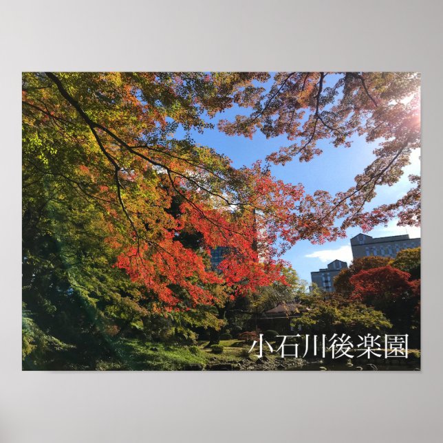 Red Maples på japanska Garden Poster (Framsidan)