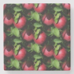 Red McIntosh Apples Nature Art Mönster Underlägg Sten