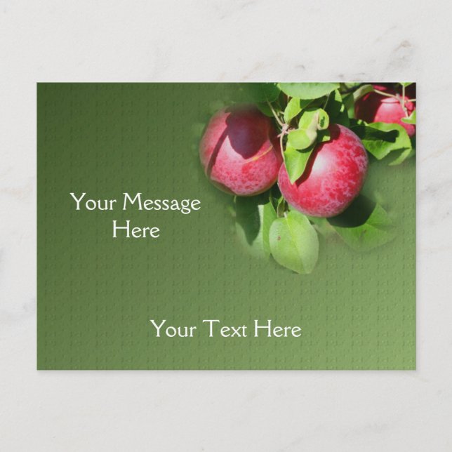 Red McIntosh Apples på Träd Vykort (Framsida)