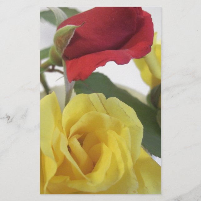 Red Md Gul ros Brevpapper (Framsida)