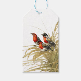 Red Meadowlark Presentetikett